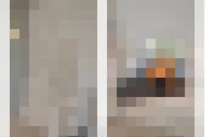Vaanakker 43 Mierlo thumbnail 27