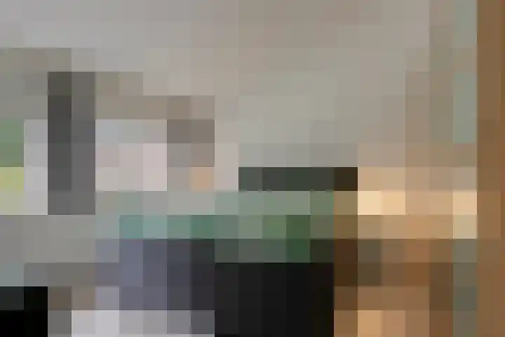 Vaanakker 43 Mierlo thumbnail 29