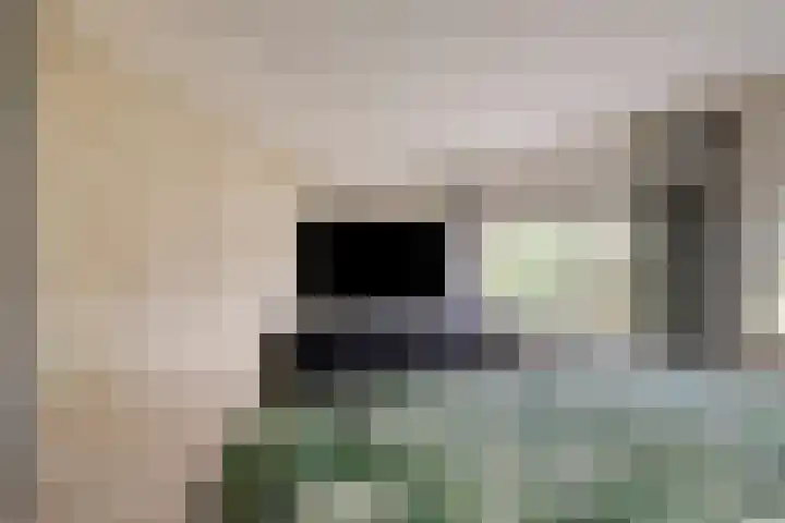 Vaanakker 43 Mierlo thumbnail 30