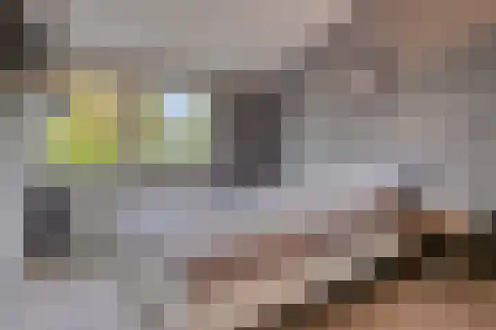 Vaanakker 43 Mierlo thumbnail 33