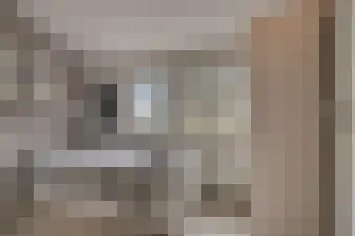 Vaanakker 43 Mierlo thumbnail 35