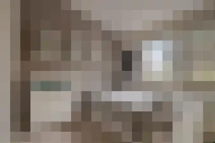 Vaanakker 43 Mierlo thumbnail 36