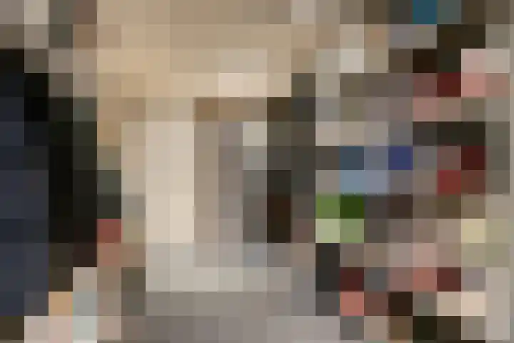 Vaanakker 43 Mierlo thumbnail 38