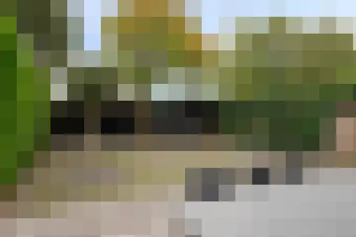 Vaanakker 43 Mierlo thumbnail 39