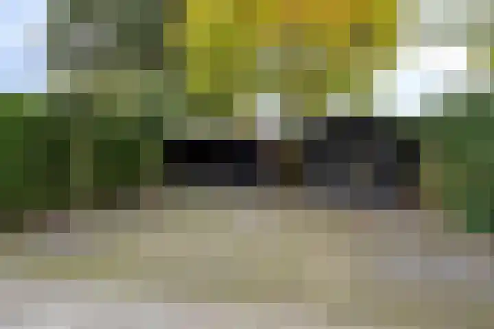 Vaanakker 43 Mierlo thumbnail 40