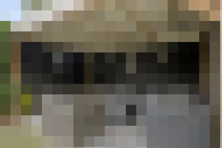 Vaanakker 43 Mierlo thumbnail 41