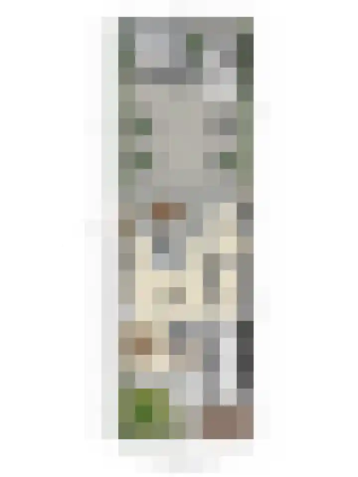 Vaanakker 43 Mierlo thumbnail 42
