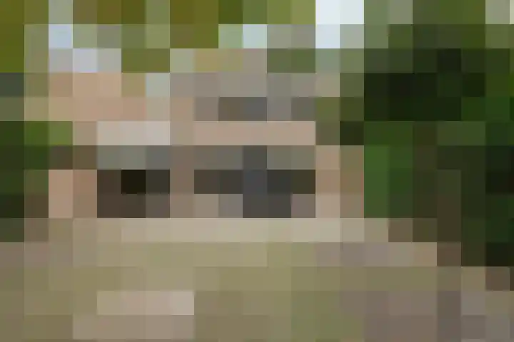 Vaanakker 43 Mierlo thumbnail 43