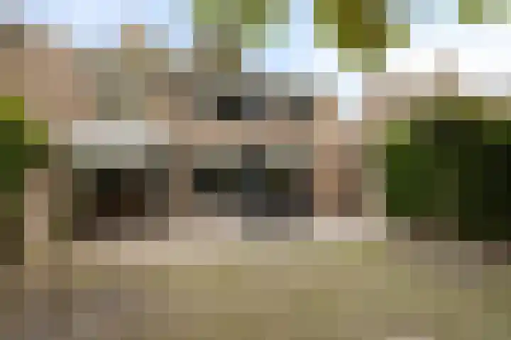 Vaanakker 43 Mierlo thumbnail 44