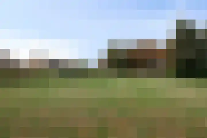 Vaanakker 43 Mierlo thumbnail 45