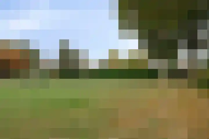 Vaanakker 43 Mierlo thumbnail 46