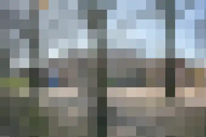 Vaanakker 43 Mierlo thumbnail 47