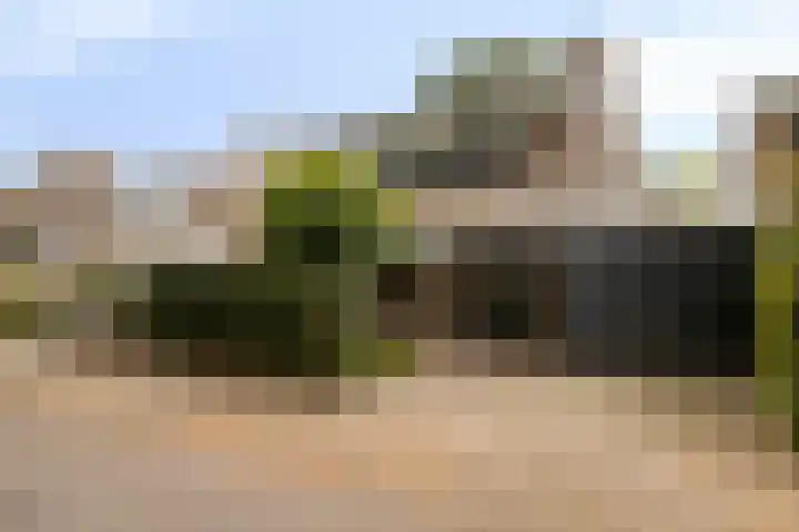 Vaanakker 43 Mierlo thumbnail 6