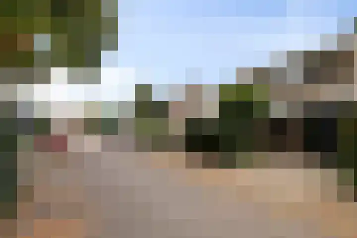 Vaanakker 43 Mierlo thumbnail 7
