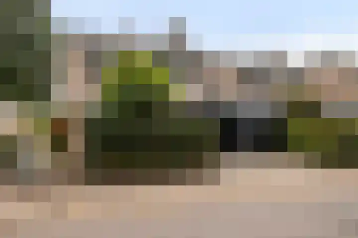 Vaanakker 43 Mierlo thumbnail 8