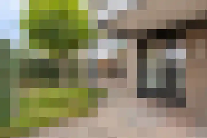 Vaanakker 43 Mierlo thumbnail 9