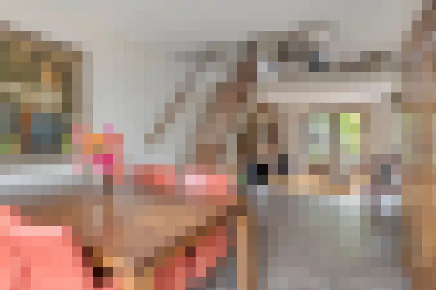 Vaanakker 61 Mierlo thumbnail 11