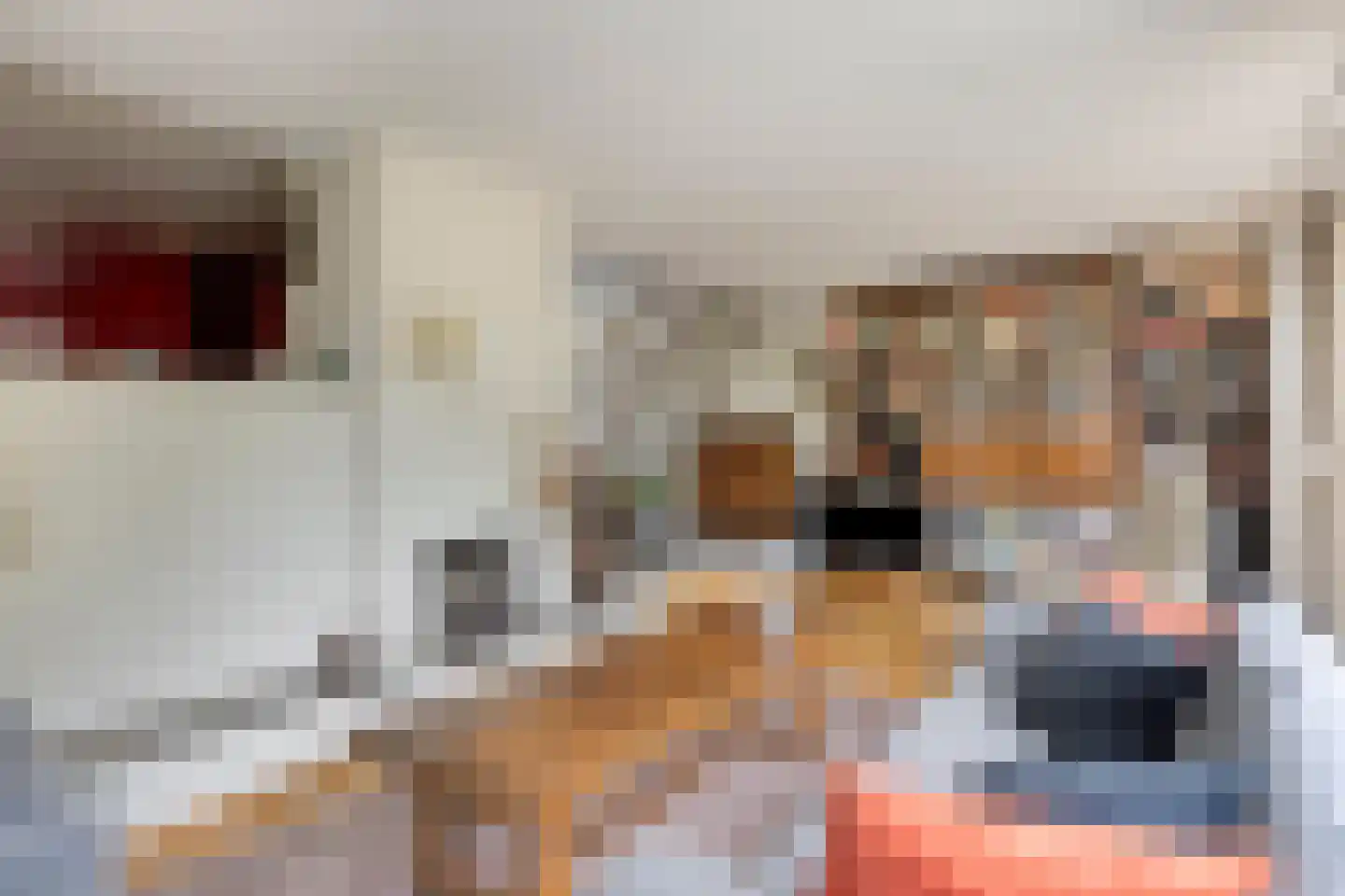 Vaanakker 61 Mierlo thumbnail 19