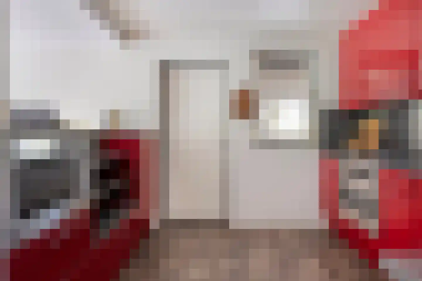 Vaanakker 61 Mierlo thumbnail 20