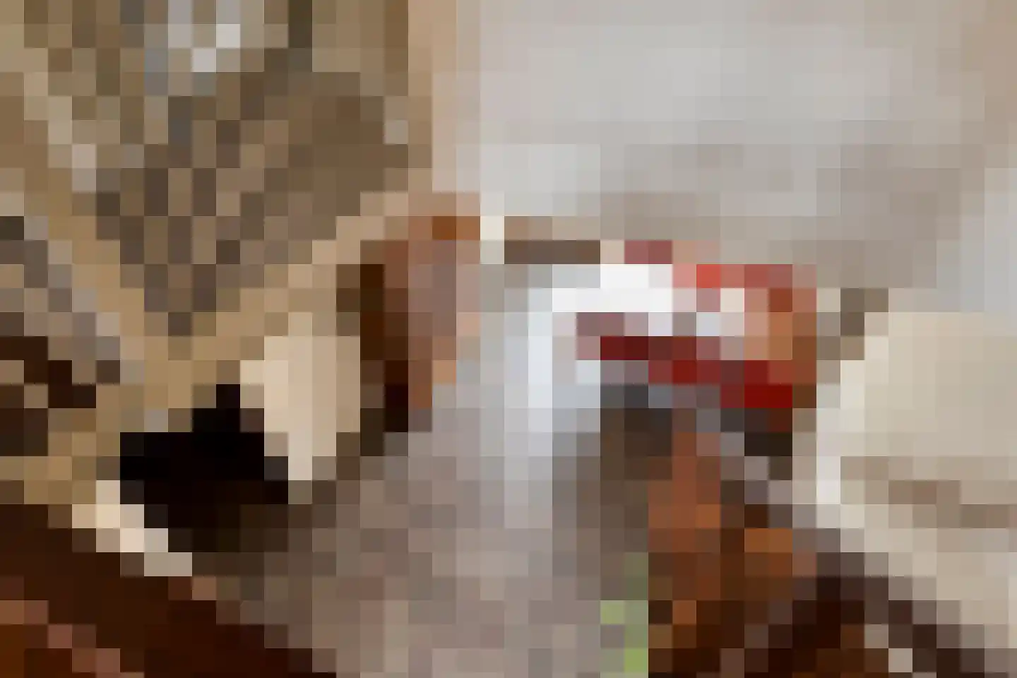 Vaanakker 61 Mierlo thumbnail 24