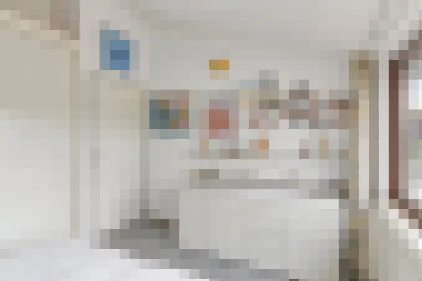 Vaanakker 61 Mierlo thumbnail 27