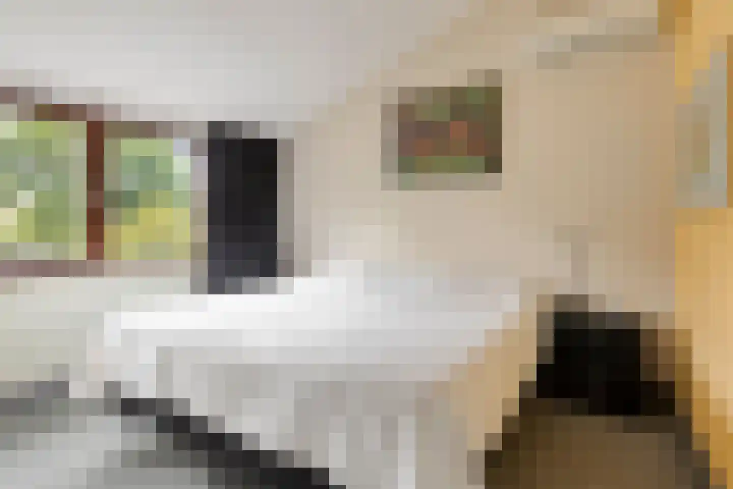 Vaanakker 61 Mierlo thumbnail 28