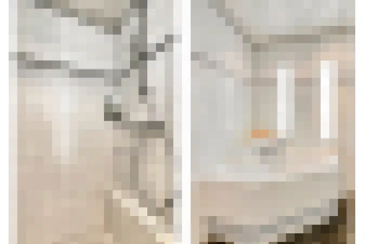 Vaanakker 61 Mierlo thumbnail 33