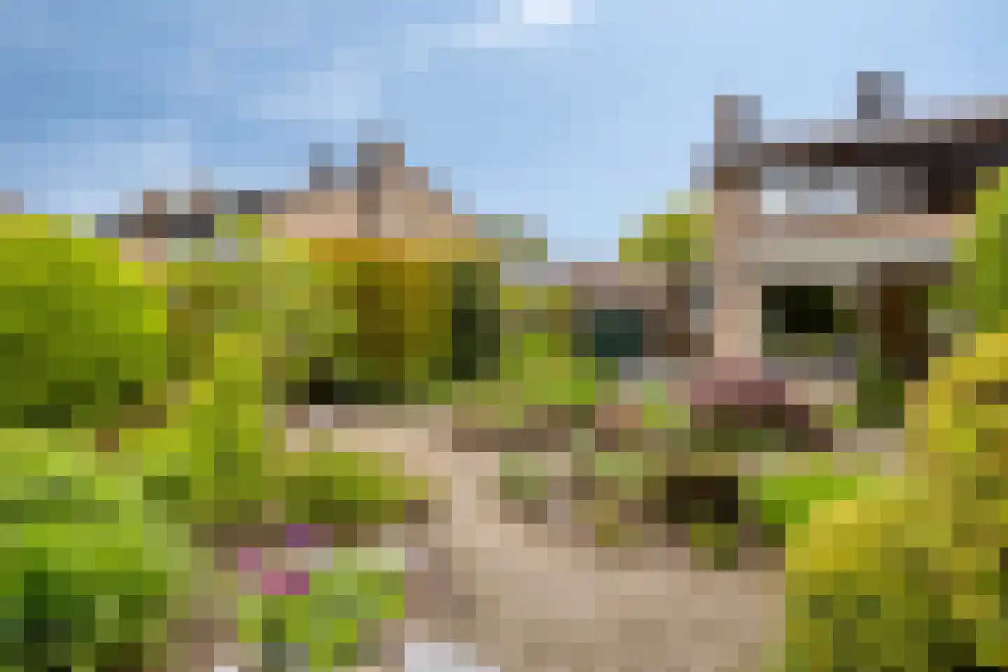 Vaanakker 61 Mierlo thumbnail 35