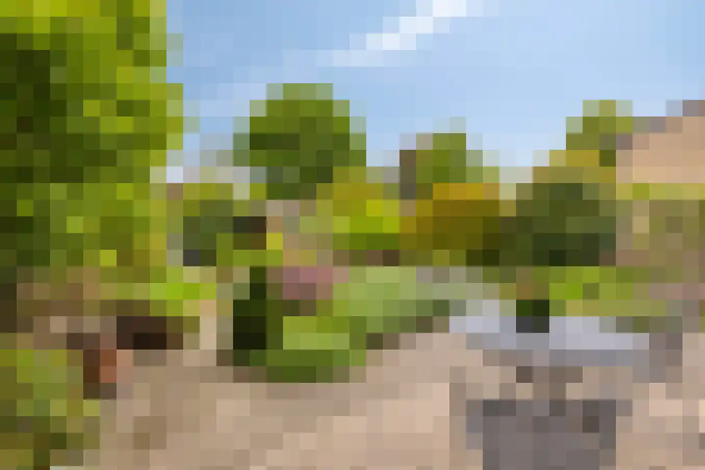 Vaanakker 61 Mierlo thumbnail 38