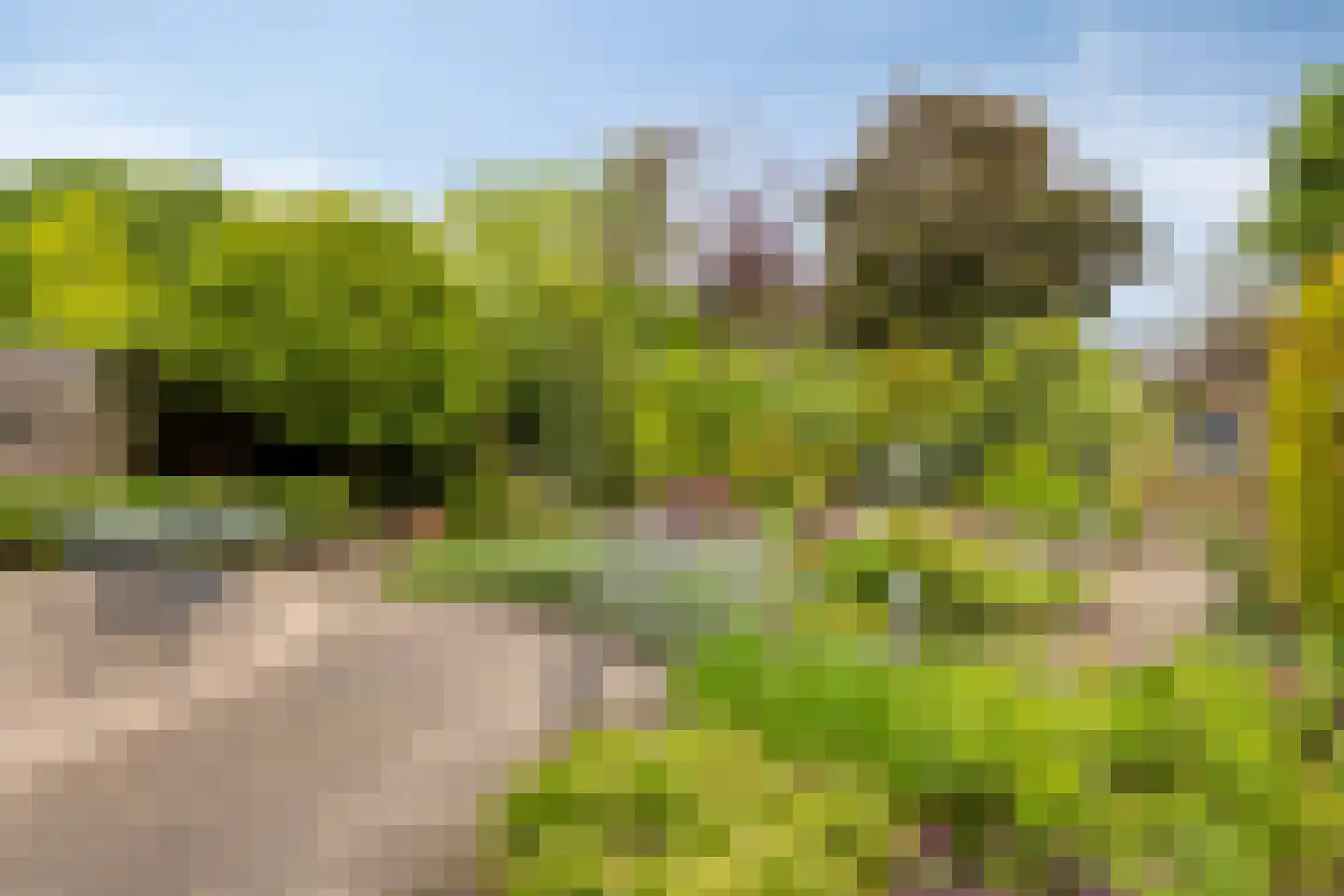 Vaanakker 61 Mierlo thumbnail 39