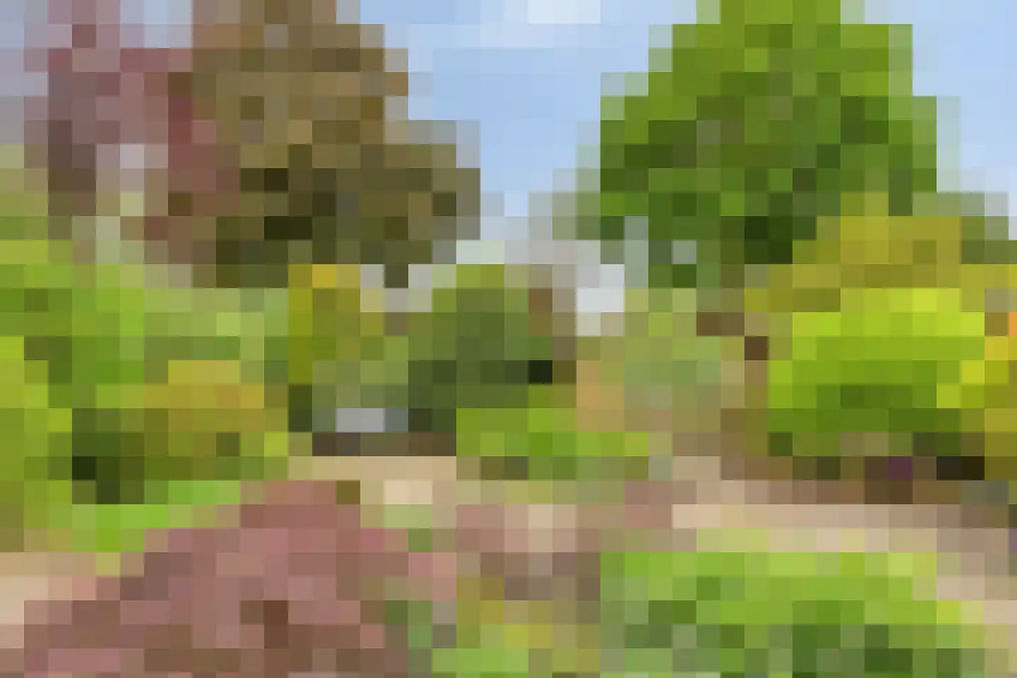 Vaanakker 61 Mierlo thumbnail 40