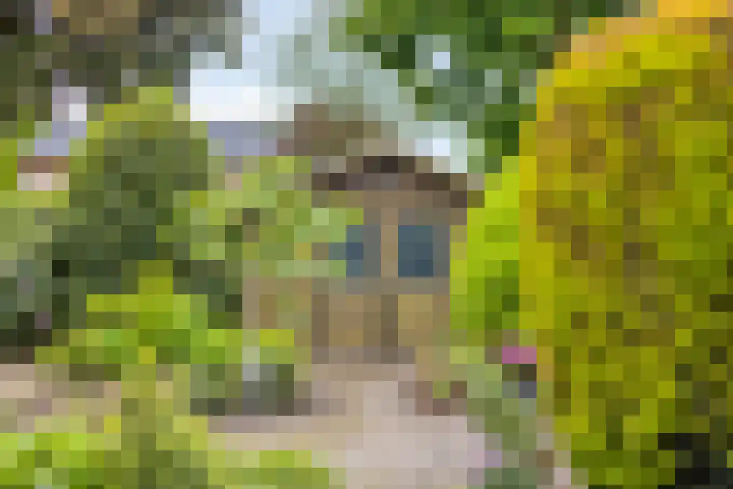 Vaanakker 61 Mierlo thumbnail 41
