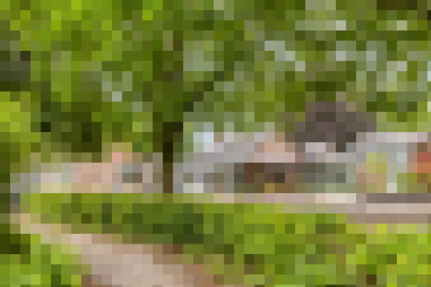 Vaanakker 61 Mierlo thumbnail 46