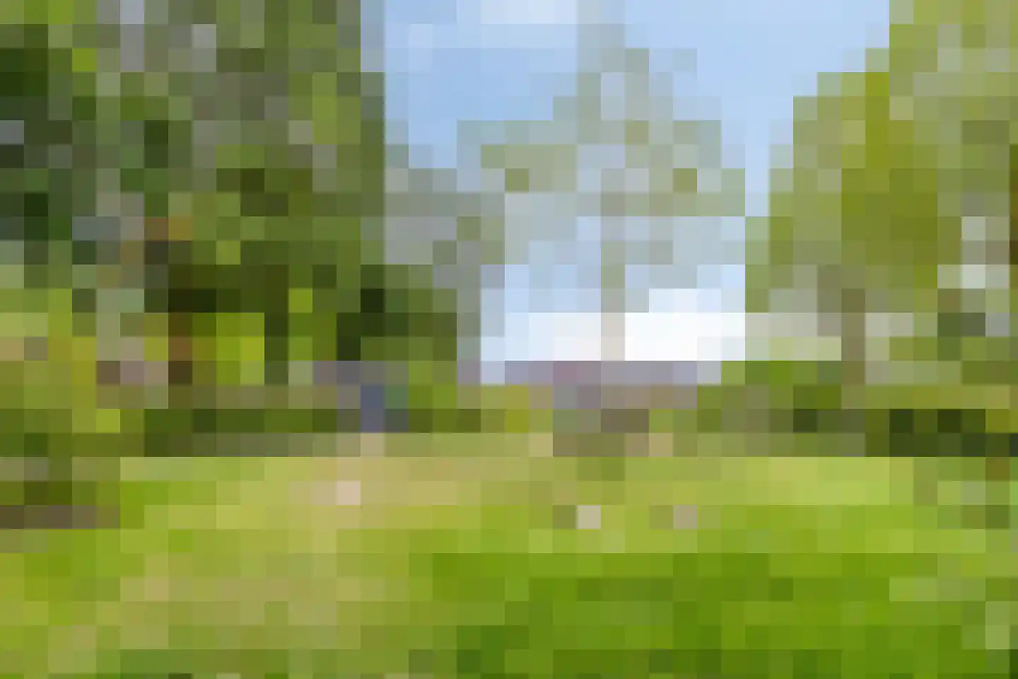 Vaanakker 61 Mierlo thumbnail 47