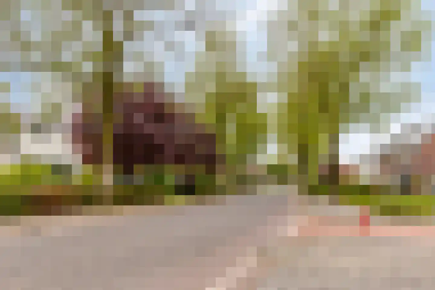 Vaanakker 61 Mierlo thumbnail 48