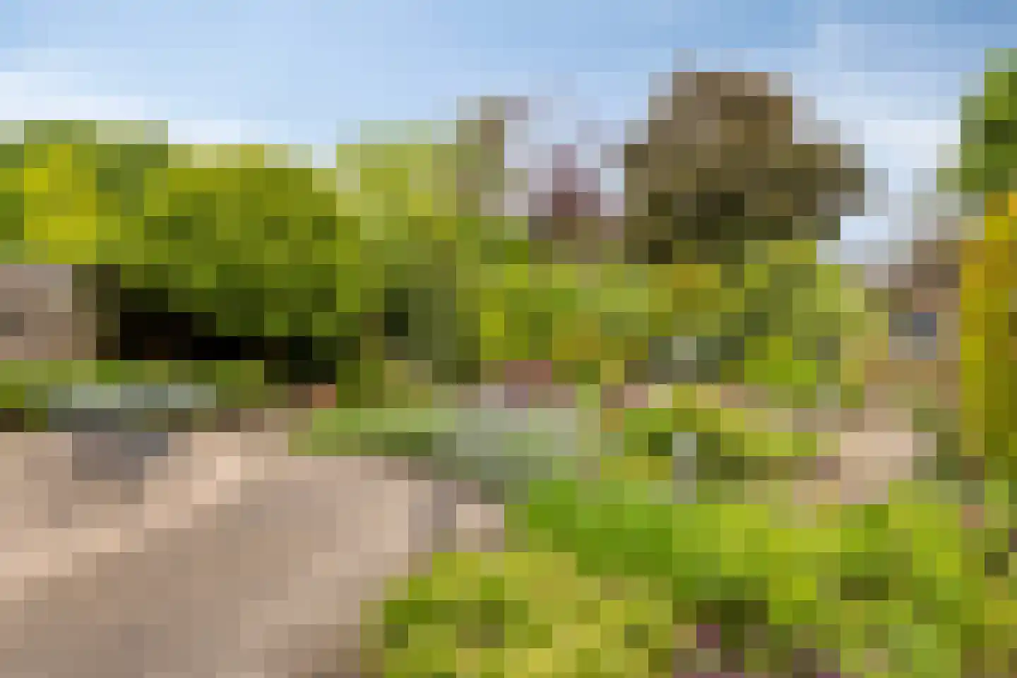 Vaanakker 61 Mierlo thumbnail 7