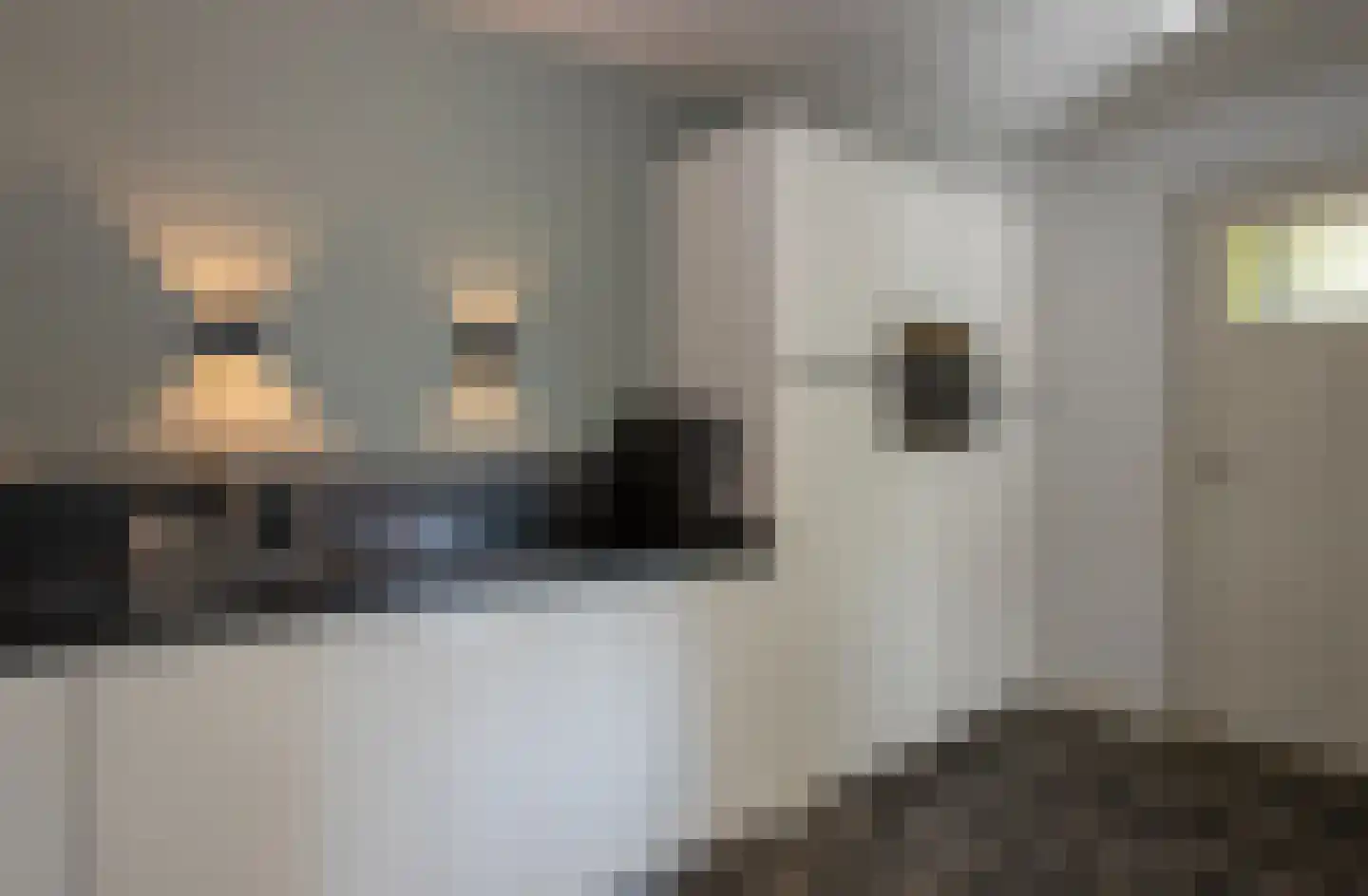 Vaandelruiter 14 Bergeijk thumbnail 13