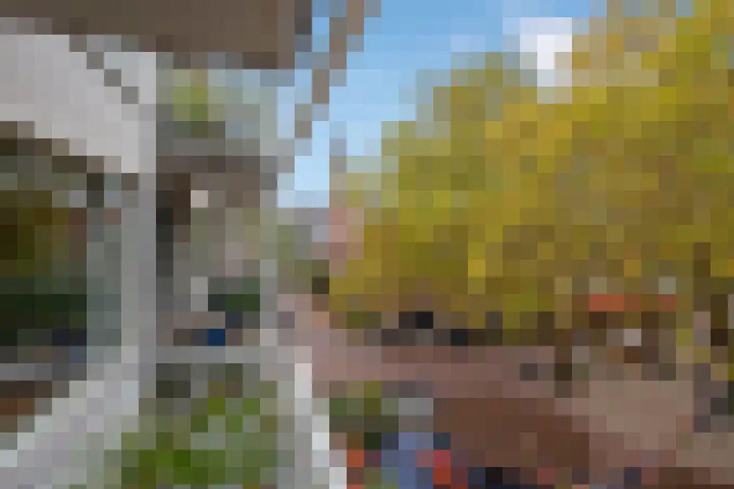 Vaandelstraat 11 Delft thumbnail 20