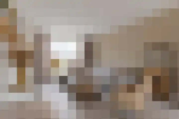 Vaandelstraat 17 Prinsenbeek thumbnail 5