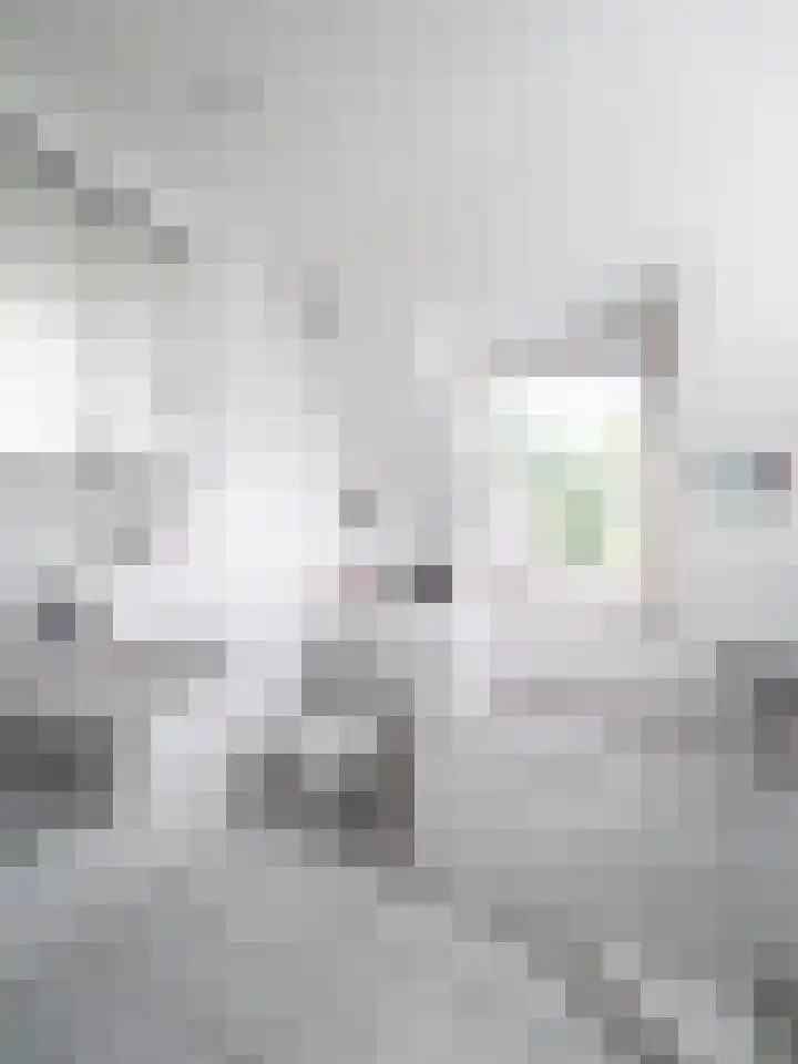 Vaandelstraat 2 Vianen NB thumbnail 22