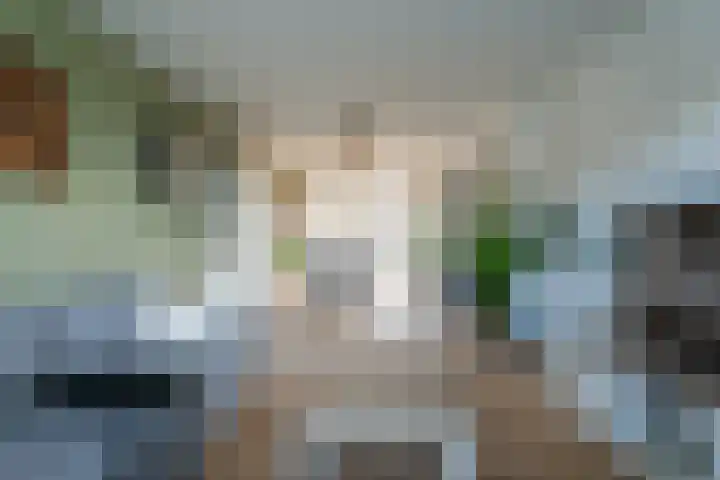 Vaandelstraat 25 Prinsenbeek thumbnail 10