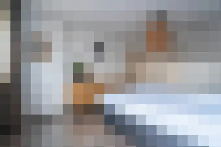 Vaandelstraat 25 Prinsenbeek thumbnail 19