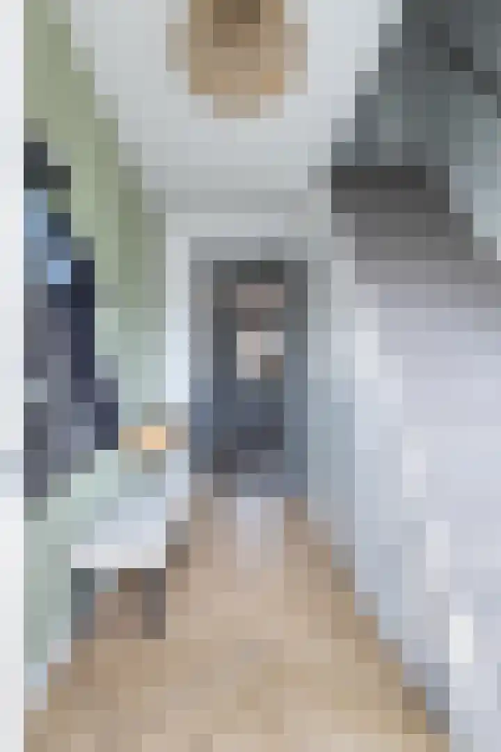 Vaandelstraat 25 Prinsenbeek thumbnail 6