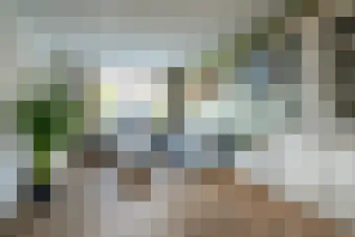 Vaandelstraat 25 Prinsenbeek thumbnail 8