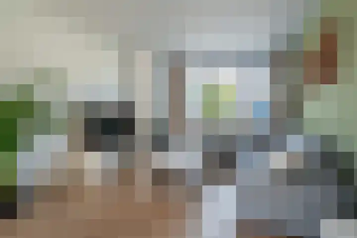 Vaandelstraat 25 Prinsenbeek thumbnail 9