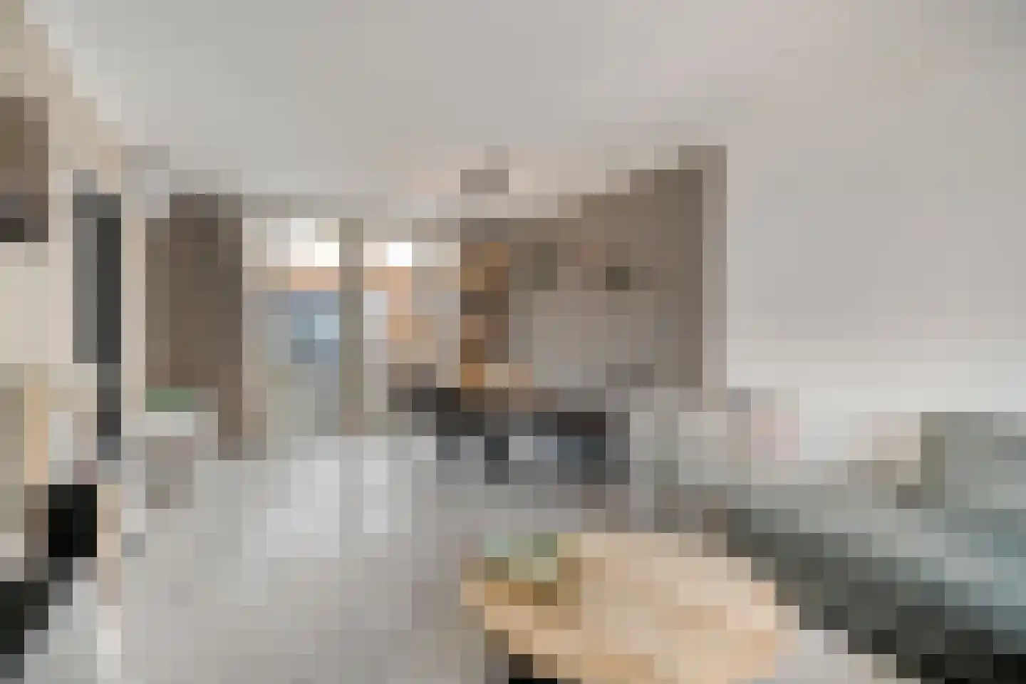 Vaandelstraat 31 Prinsenbeek thumbnail 12