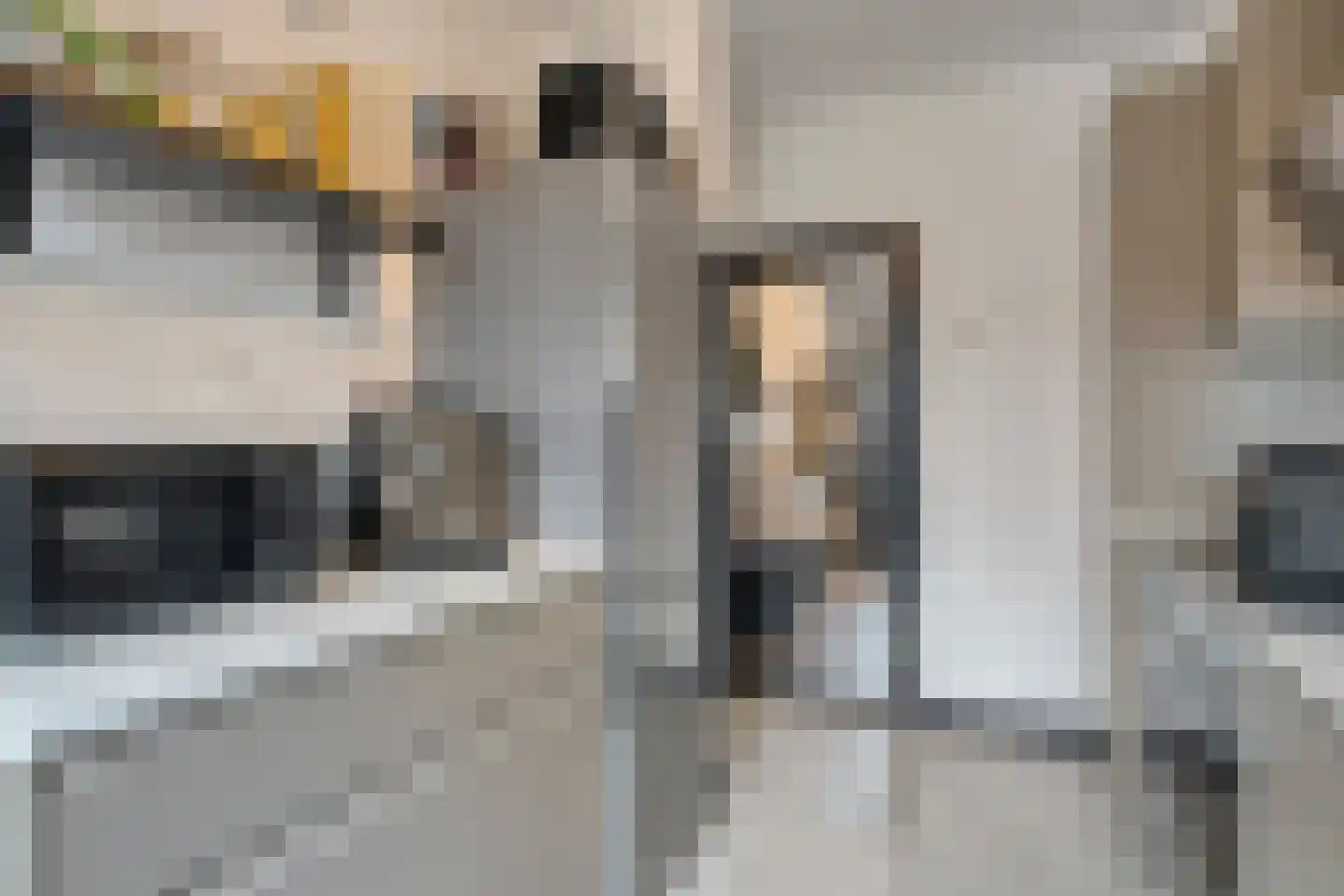 Vaandelstraat 31 Prinsenbeek thumbnail 16