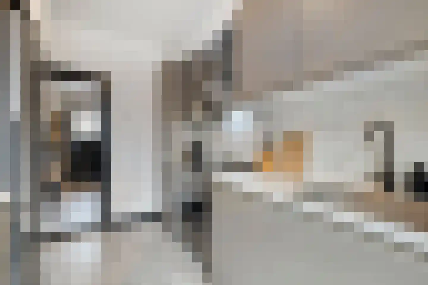 Vaandelstraat 31 Prinsenbeek thumbnail 17