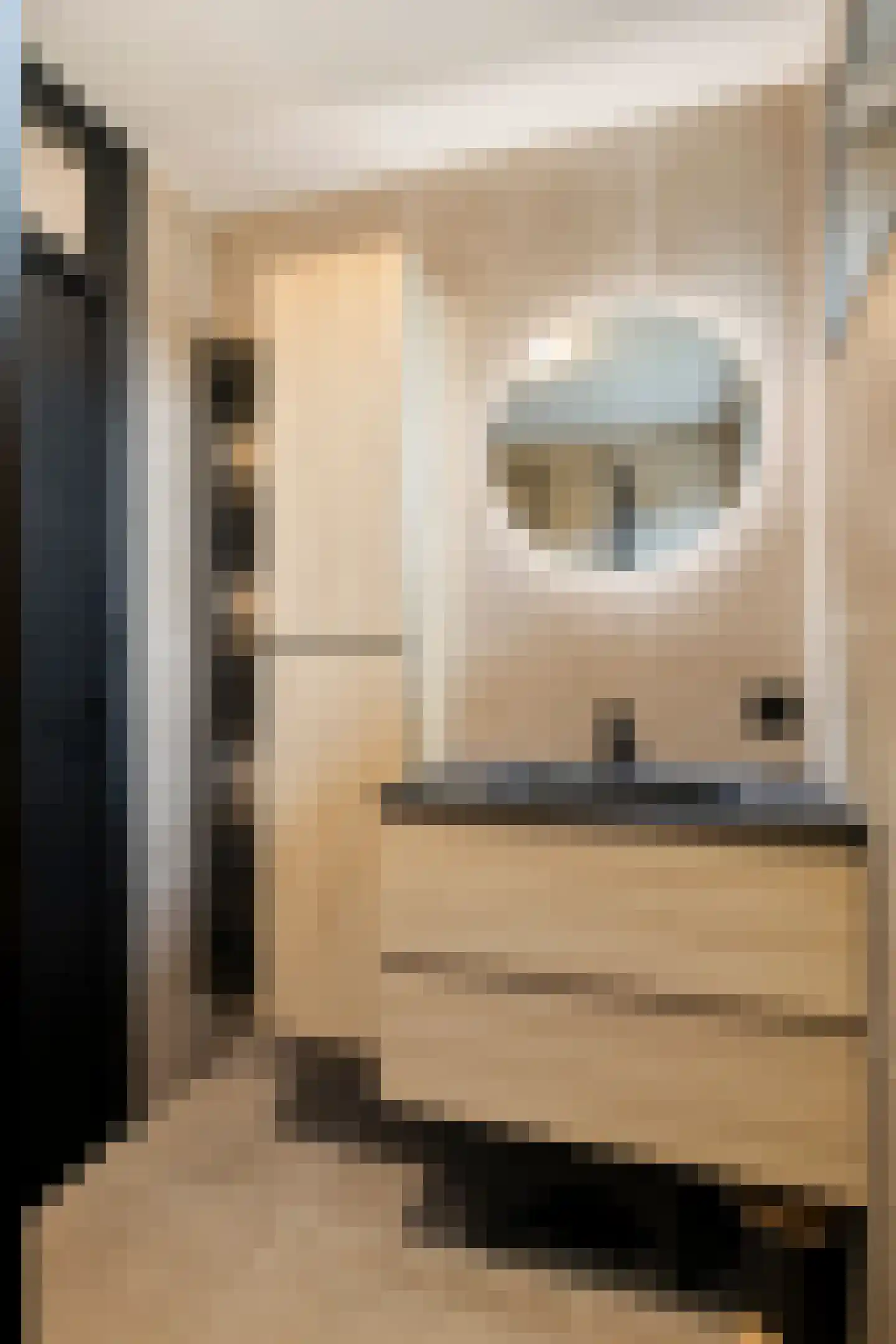 Vaandelstraat 31 Prinsenbeek thumbnail 26
