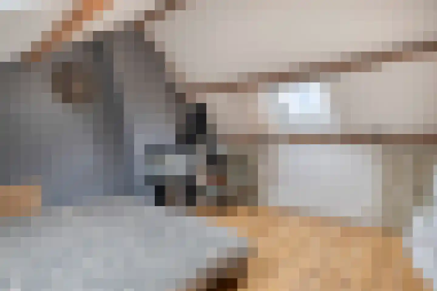 Vaandelstraat 31 Prinsenbeek thumbnail 28